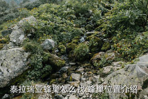 泰拉瑞亚蜂巢怎么找 蜂巢位置介绍