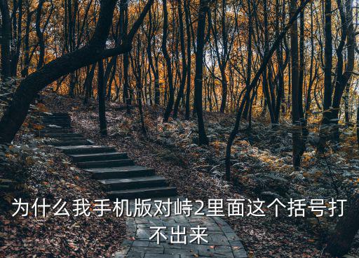 为什么我手机版对峙2里面这个括号打不出来
