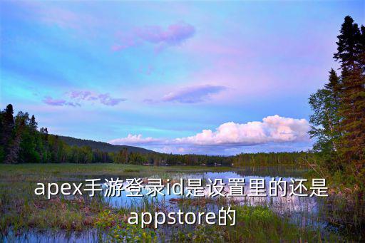 apex手游怎么查看id，apex手游登录id是设置里的还是appstore的