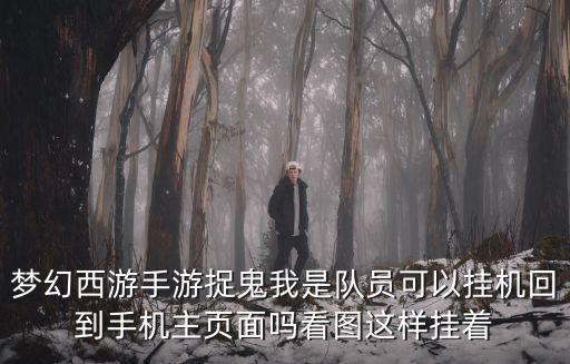 梦幻西游手游捉鬼我是队员可以挂机回到手机主页面吗看图这样挂着