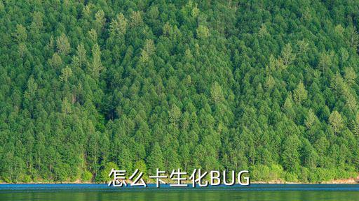 怎么卡生化BUG
