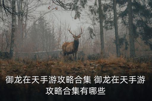 御龙在天手游妖王怎么得，御龙在天5000块钱可以拿王吗