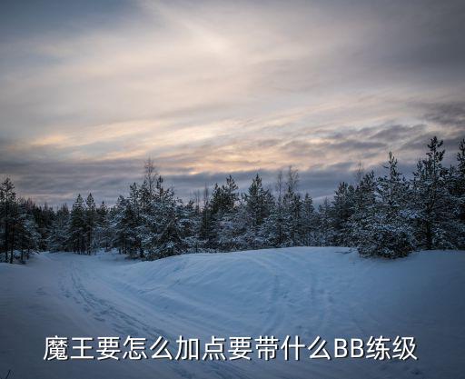 魔王要怎么加点要带什么BB练级