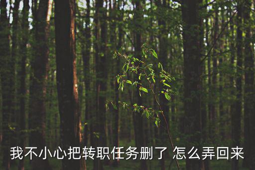 我不小心把转职任务删了 怎么弄回来