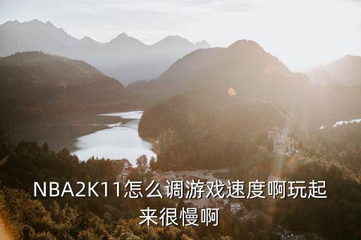 NBA2K11怎么调游戏速度啊玩起来很慢啊