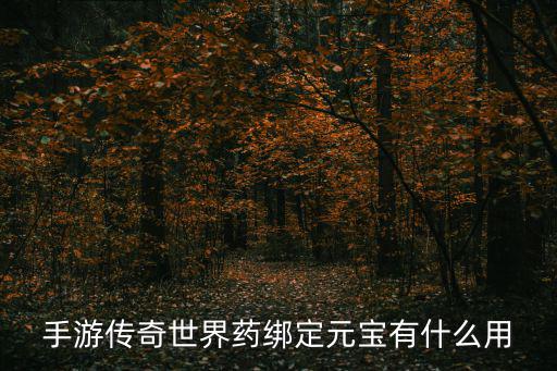 手游传奇世界药绑定元宝有什么用
