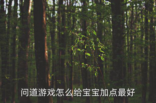 问道游戏怎么给宝宝加点最好