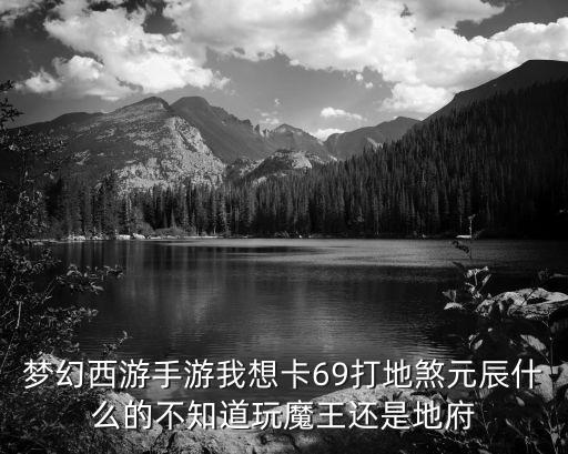 梦幻西游手游我想卡69打地煞元辰什么的不知道玩魔王还是地府