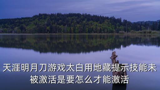 天涯明月刀手游天芒秘匣怎么解锁，天涯明月刀游戏里缉拿任务完成什么条件才有五级缉拿礼盒