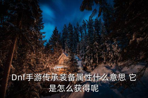 Dnf手游传承装备属性什么意思 它是怎么获得呢