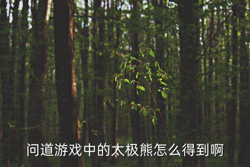问道游戏中的太极熊怎么得到啊