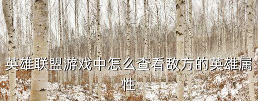 英雄联盟游戏中怎么查看敌方的英雄属性