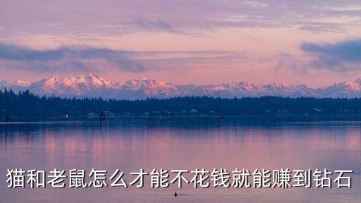 猫和老鼠怎么才能不花钱就能赚到钻石