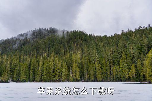 cf手游苹果系统怎么下载，苹果手机怎么下载cf国外视频聊天