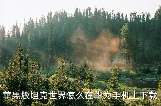 苹果版坦克世界怎么在华为手机上下载