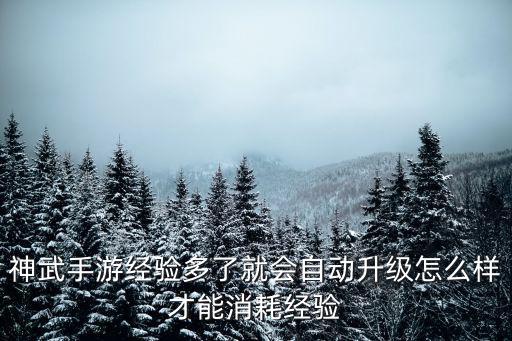 神武手游经验多了就会自动升级怎么样才能消耗经验