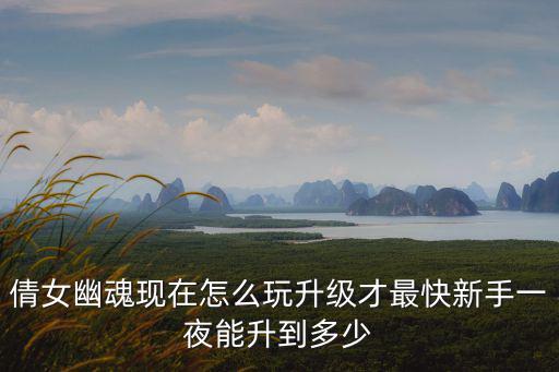 倩女幽魂现在怎么玩升级才最快新手一夜能升到多少