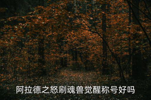 阿拉德之怒刷魂兽觉醒称号好吗