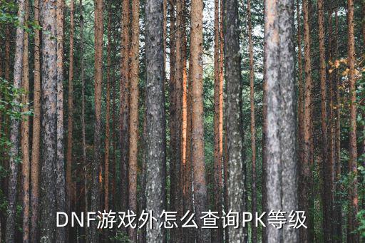 地下城手游韩服pk记录怎么看，玩过韩服DNF并且爱PK的进来看看