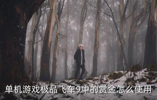 单机游戏极品飞车9中的赏金怎么使用
