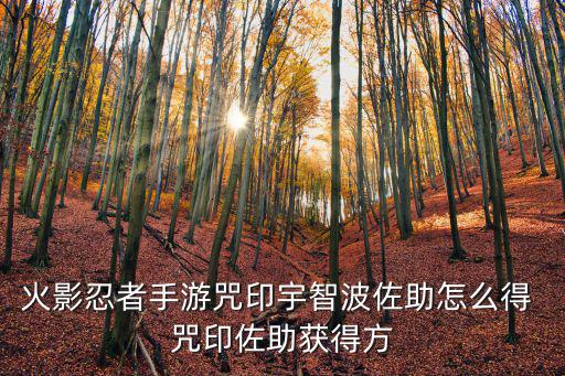 火影忍者手游咒印宇智波佐助怎么得 咒印佐助获得方