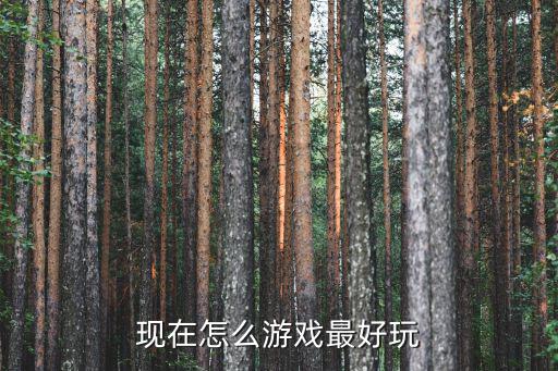 手游2k怎么玩终极联盟，现在怎么游戏最好玩