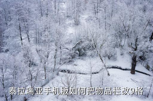 泰拉瑞亚手游物品栏怎么调，泰拉瑞亚手机版怎么调装备栏十格
