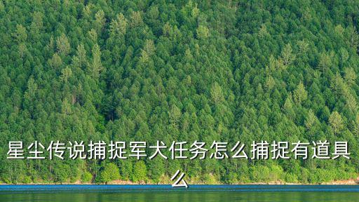 星尘传说捕捉军犬任务怎么捕捉有道具么