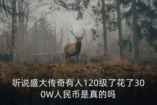 传奇3手游120级怎么样，听说盛大传奇有人120级了花了300W人民币是真的吗