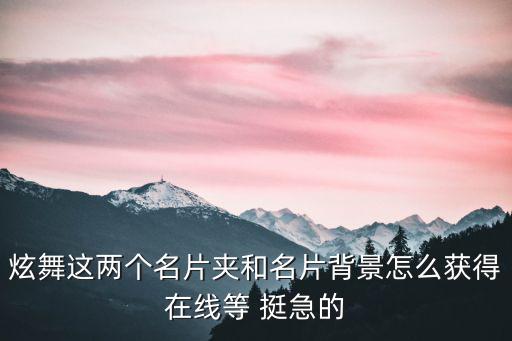 炫舞这两个名片夹和名片背景怎么获得在线等 挺急的