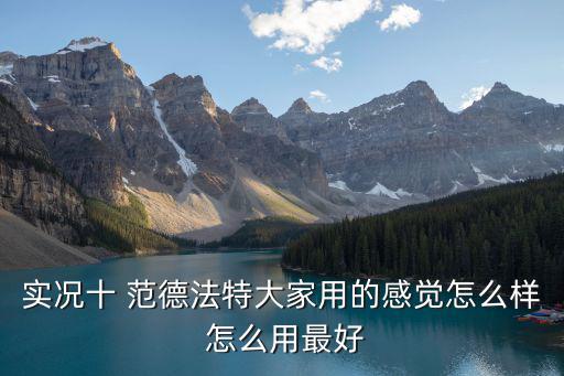 实况十 范德法特大家用的感觉怎么样 怎么用最好