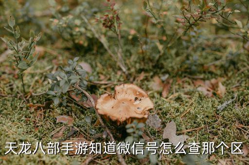 天龙八部手游知道微信号怎么查那个区