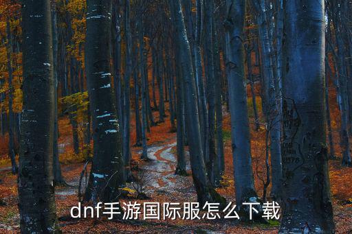 dnf手游国际服怎么下载