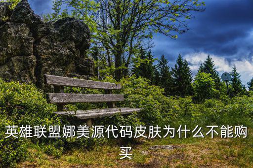 英雄联盟娜美源代码皮肤为什么不能购买