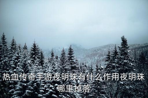 热血传奇手游夜明珠有什么作用夜明珠哪里掉落