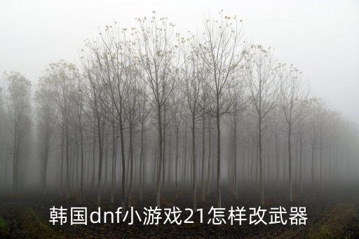韩国dnf小游戏21怎样改武器