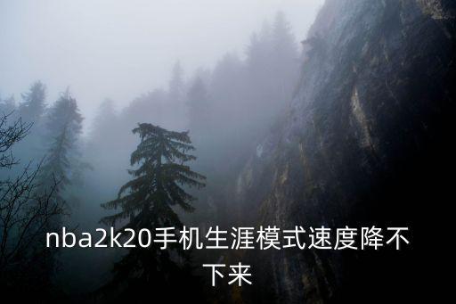 nba2k20手机生涯模式速度降不下来