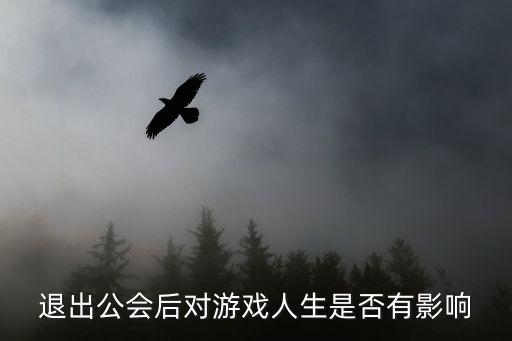 英雄联盟手游退出工会会怎么样，神曲退出公会会有什么损失