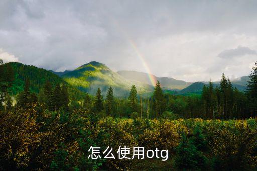 怎么使用otg