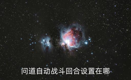 问道自动战斗回合设置在哪
