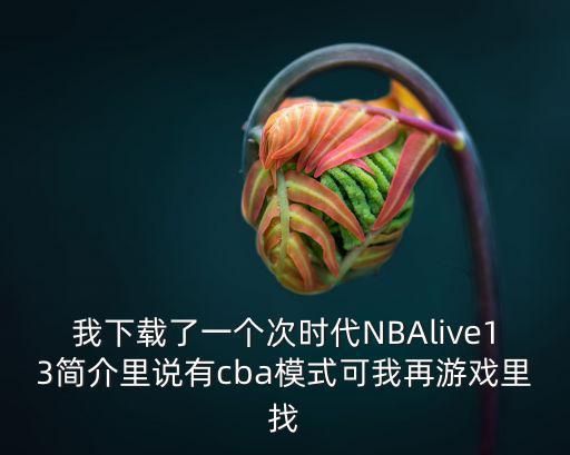 我下载了一个次时代NBAlive13简介里说有cba模式可我再游戏里找