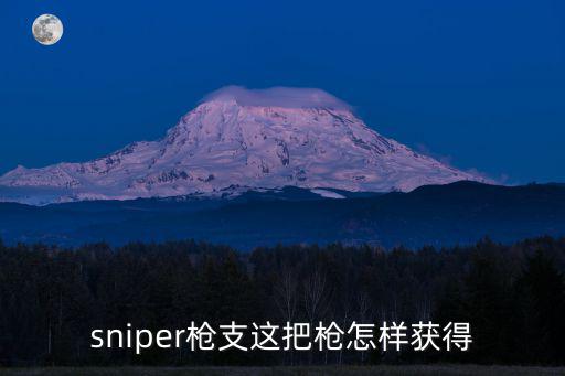 sniper枪支这把枪怎样获得