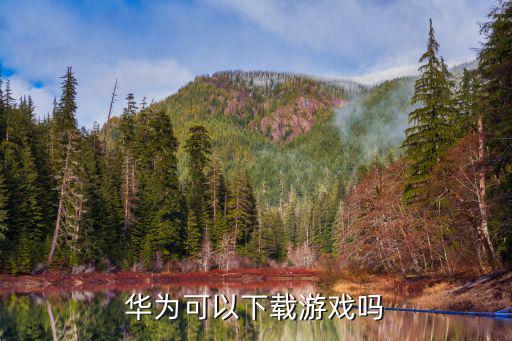 华为p10怎么下载手游，华为可以下载游戏吗