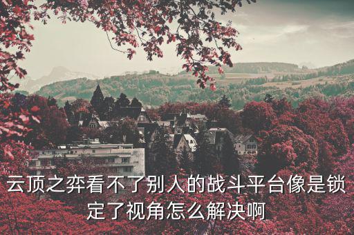 云顶之弈看不了别人的战斗平台像是锁定了视角怎么解决啊