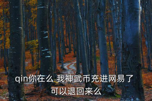 qin你在么 我神武币充进网易了 可以退回来么