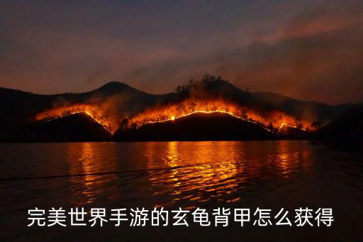 完美世界手游的玄龟背甲怎么获得