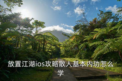放置江湖手游炼药怎么学，放置江湖ios攻略散人基本内功怎么学