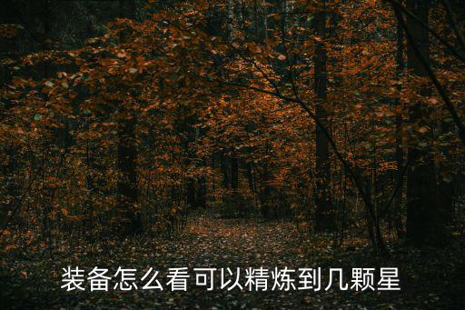 装备怎么看可以精炼到几颗星