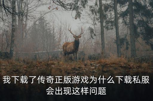 我下载了传奇正版游戏为什么下载私服会出现这样问题