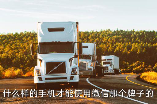 英雄联盟手游安卓微信阵营怎么选，什么样的手机才能使用微信那个牌子的
